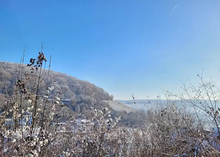 Ahrtal Vier Sterne Alexandra Weiler Panorama Daire